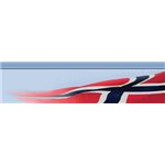 Norske vimpler: 450x102